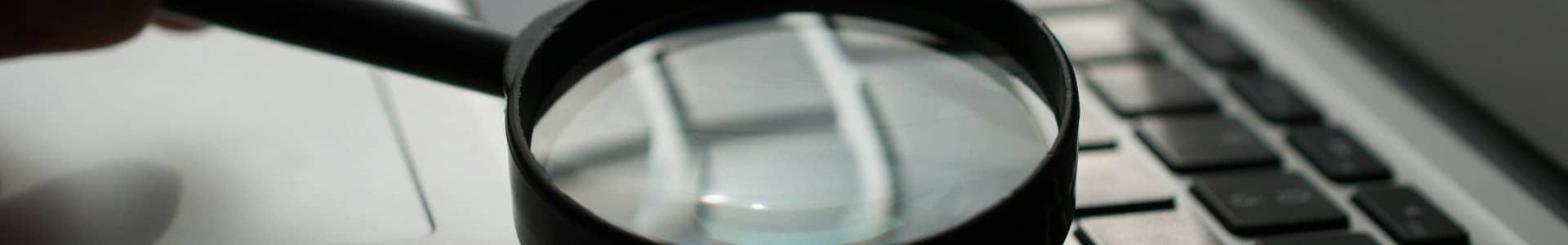 Search on this website