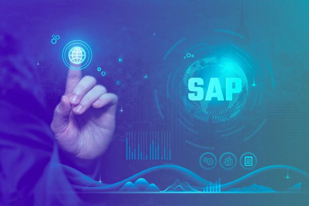 SAP Consultancy