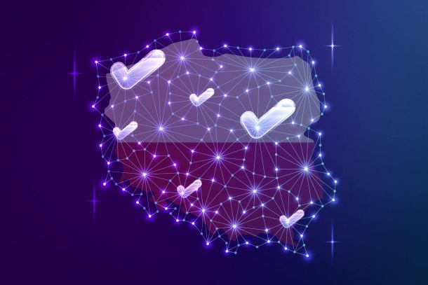 SAP add-on for Polish Whitelist